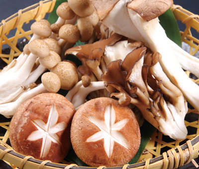 halal_mushroom